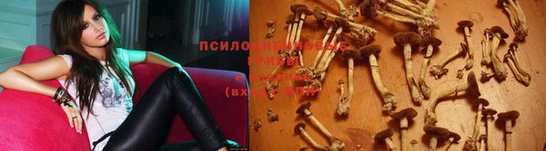 Альфа ПВП Алзамай