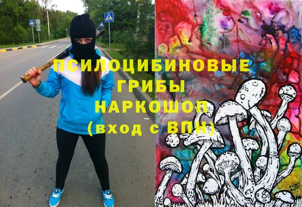 apvp Покров