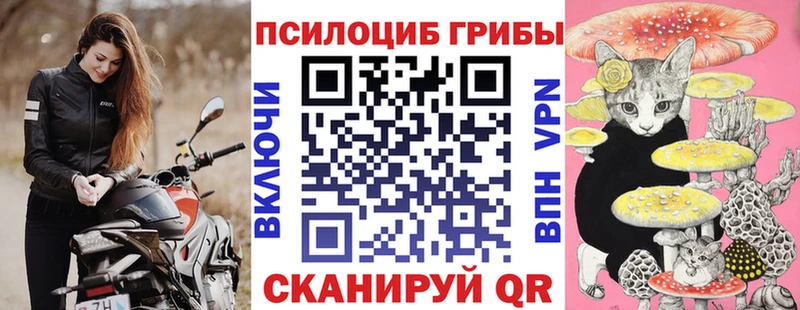 Псилоцибиновые грибы мухоморы  купить наркотик  darknet Telegram  Россошь 