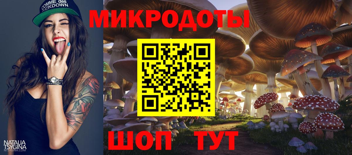 Россошь  Галлюциногенные грибы Cubensis  Псилоцибиновые грибы Psilocybe  Вход с VPN 