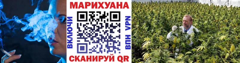 Конопля планчик  даркнет сайт  Россошь 